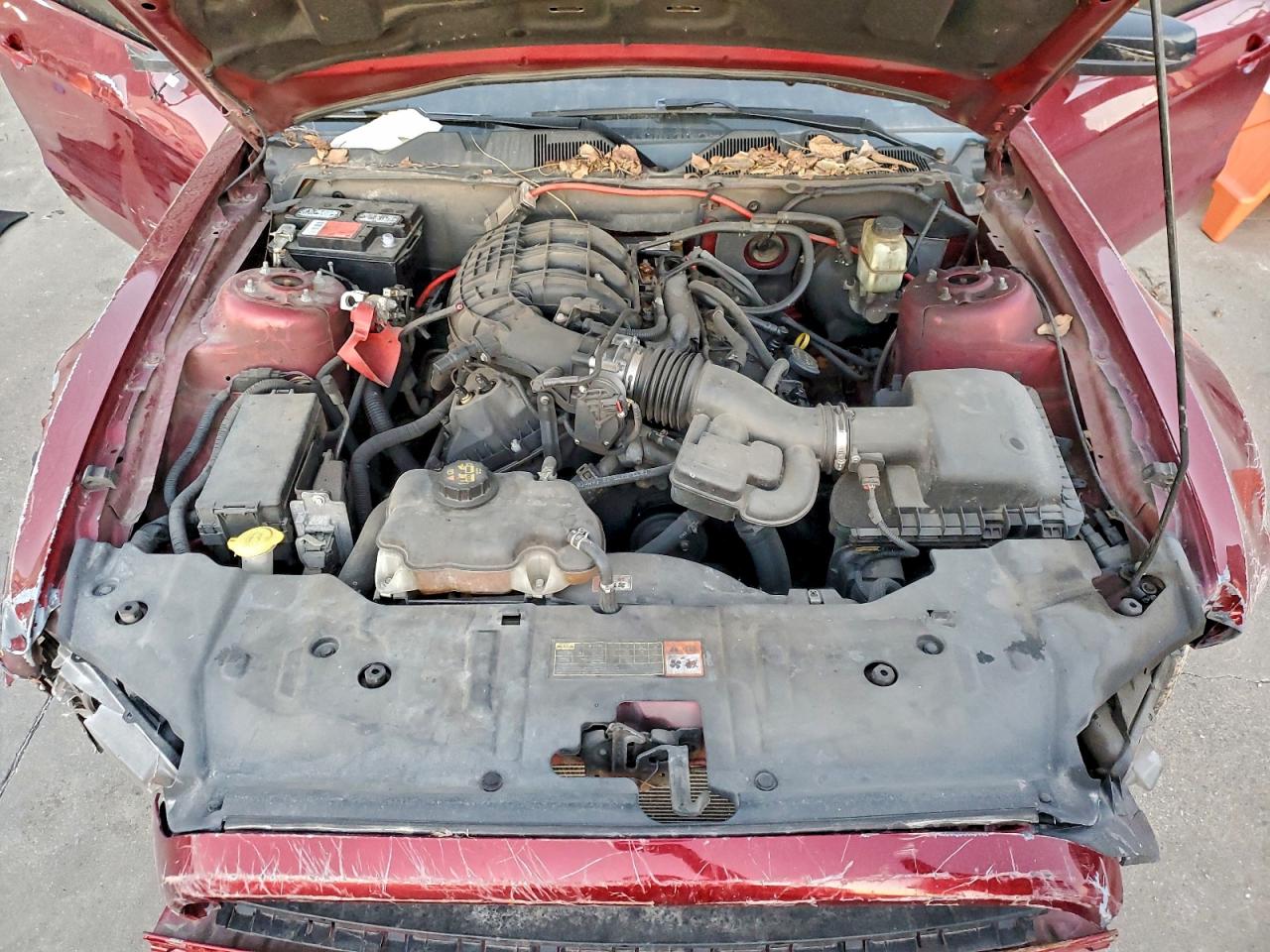 Ford Mustang Image 11