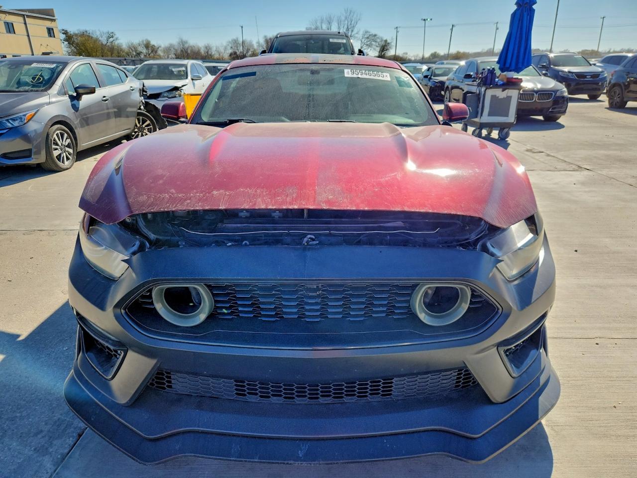 Ford Mustang Image 3