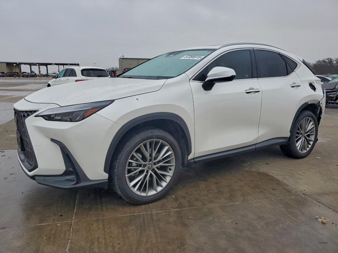 Lexus NX 350 Premium Image 1