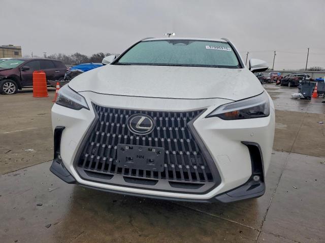 Lexus NX 350 Premium Image 2