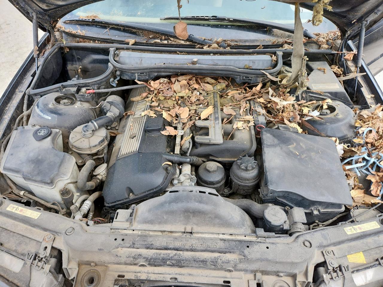 BMW 3 Series Ci Image 9