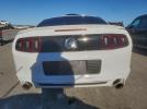 Ford Mustang Gt Image 12