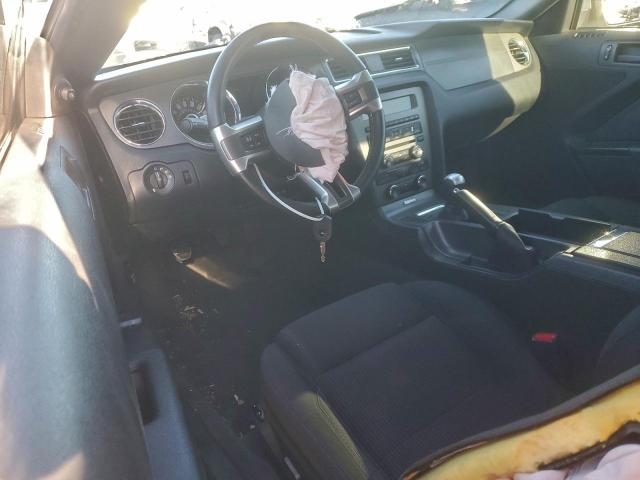 Ford Mustang Gt Image 6