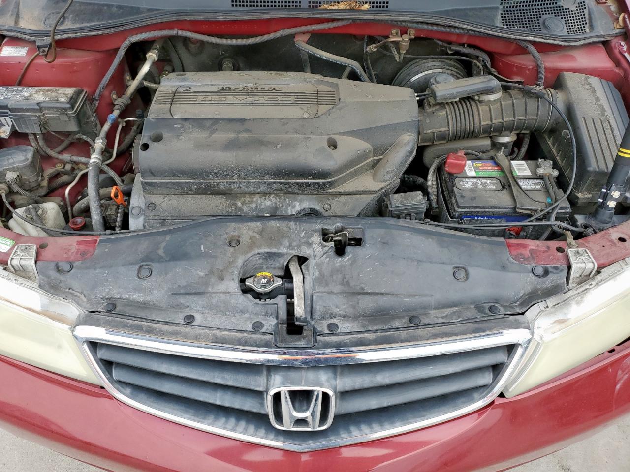 Honda Odyssey Exl Image 6